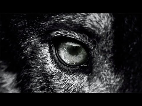 Άγνωστος Χειμώνας - Το Μέλλον | Agnwstos Xeimwnas - To Mellon (Official Audio)