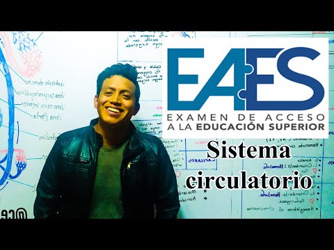 Clase 23 EAES | Biología |Sistema circulatorio