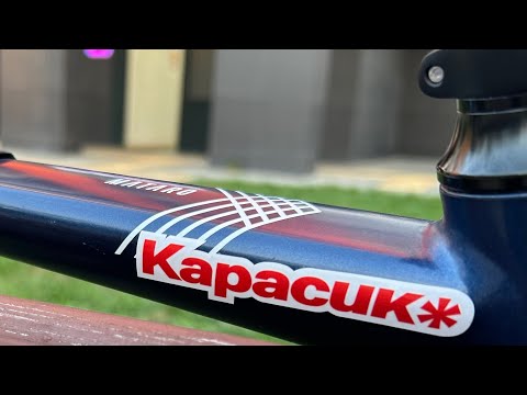 Вечерняя прогулка с Карасик сс