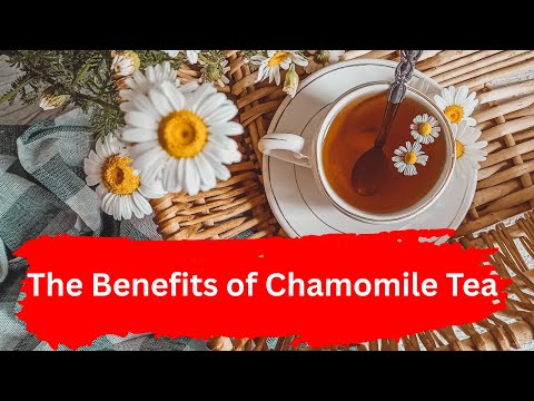 The Benefits of Chamomile Tea To Know! Health Benefits Of Chamomile Tea