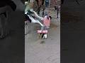 He crawled away￼‼️😱 #viral #horse #kick