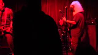 Animal Cubes.  &quot;Tilted&quot; (sugar cover).   10.31.13. At Ace o