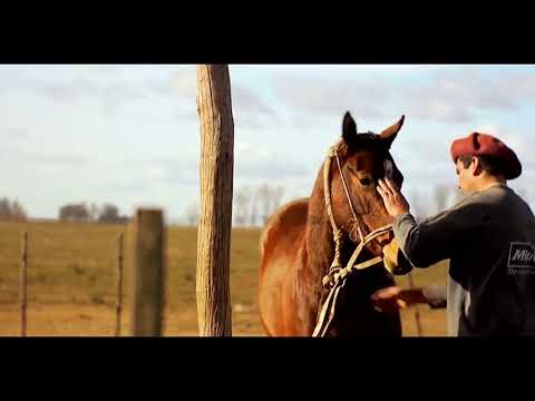 Mira que lindo mi pais paisano/argentino luna