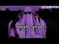 Tukur Tukur Slowed And Reverb | Lofi Songs Studio