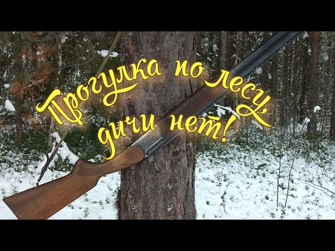 В лес по первому заморозку, дичи нет!