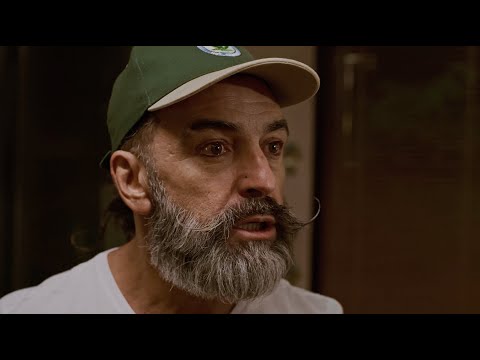 Tráiler de Quién tiene la culpa?!