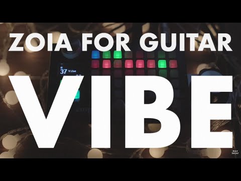 Empress ZOIA Guitar Demo – Vibe