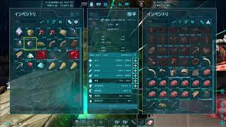 しゃっちーばれーーーーーーーーーーーーーー