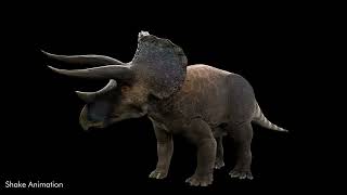 Triceratops Prorsus video thumbnail