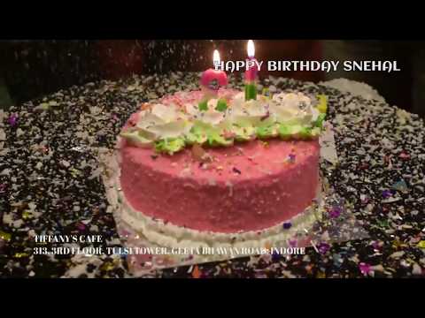 Birthday party of Snehal/ Birthday party video / Tiffany's Cafe