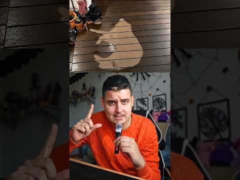 élete legszebb pillanatai