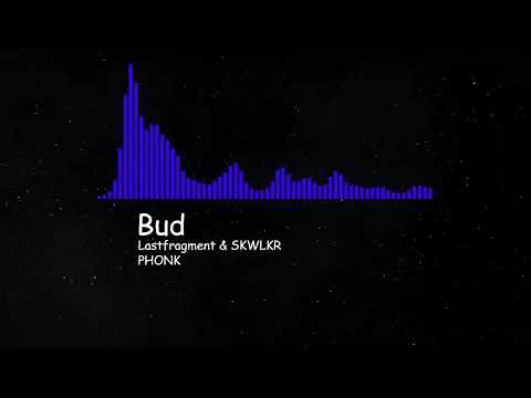 Bud / Lastfragment & SKWLKR