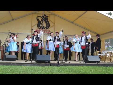 FF Milotice 2016 / Soubor MARÝNKA z Vracova  - č.2  ( P. Petržela )