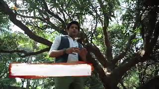 Shaleen malhotra in yeh hai aashiqui video