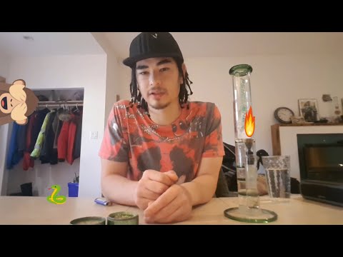 Zombie Kush and Honey Pot Smoke Test: Cannabis Strain Reviews