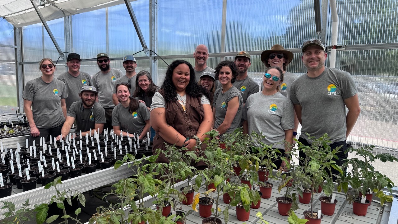 School Greenhouse