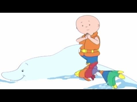 Caillou en Français | Caillou et les Animaux Marins | 411 | dessin animé | NOUVEL ÉPISODE HD