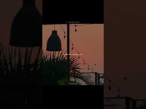 Tera hone laga hun - Atif Aslam 🌿 | Aesthetic Lyrics| WhatsApp Status | #shorts #trending #hindisong