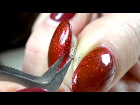 Volumen Ruso ✦ Extra Rápido ✦ Técnica de Abanicos Fingertips en Beauty Lash con Mariia Buianova