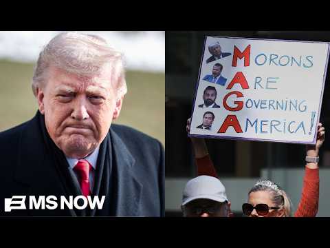 ‘War profiteering, rising prices’: First-time ‘No Kings’ protester joins movement fighting Trump