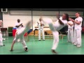 Capoeira Nuit Des Arts Martiaux Bourges 2016