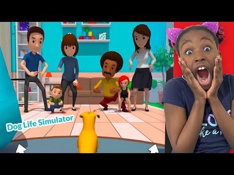 Dog Life Simulator - I became a dog for 24hrs! - YouTube