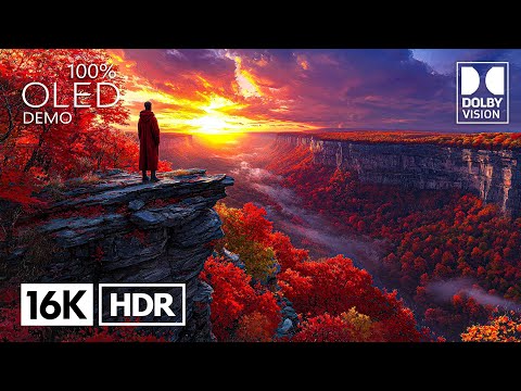 Most Beautiful Dolby Vision 16K HDR 240 fps (4K/8K Video TV)