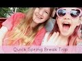 Spring Break Vacation Beach Amusement Park