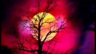 born loser -- copperhead.wmv