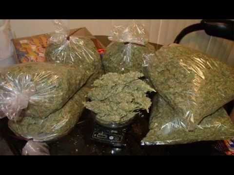 Ras shady, Sensimenia (One TRACK From Lexus Promduction All star Album)