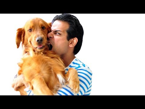 Dogs & Prosperity (How dogs bring wealth & happiness in our lives)