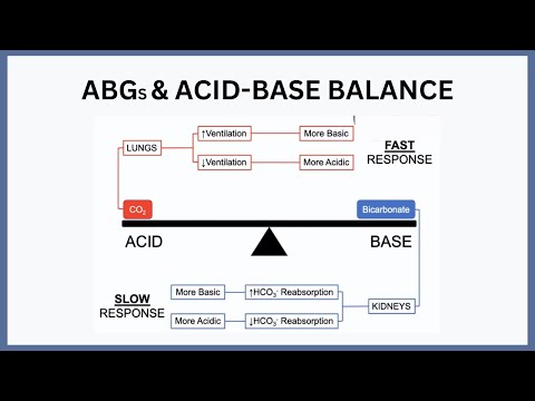 ABGs and Acid-Base Balance Explained