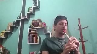 I am Tuan - Cruachan (Tin Whistle cover)