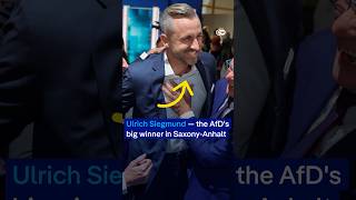 Who is Ulrich Siegmund, the AfD politician seeking power in Saxony-Anh