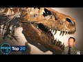 Top 20 Biggest Dinosaurs to Have Ever Existed on Earth