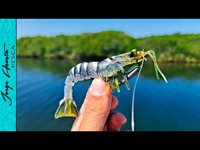 Vídeo relacionado con Demeras Shrimp Lure Squid Jigs Señuelo de Pesca Realista Luminous Shrimp Baits para Pesca de Agua Dulce