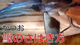 かつおのさばき方1/2（Skipjack tuna）