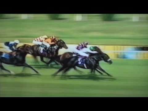 Nagroda Jaroszówki - 19.05.2002 - Nowogródek (Who Knows - Nowa Zelandia)