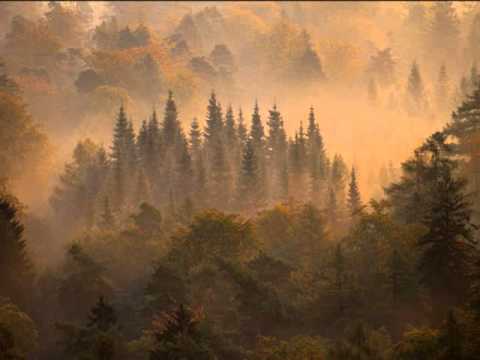download lagu mp3 mp4 Neil Young Earth Download, download lagu Neil Young Earth Download gratis, unduh video klip Neil Young Earth Download