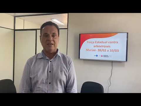 Saúde MG envia Força Estadual a Muriaé para ações de controle do Aedes aegypti