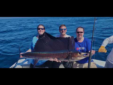 Guatemala trolling - plachetníci, MahiMahi