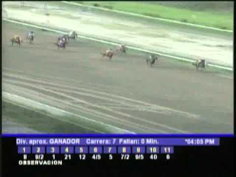 Resumen Domingo, 21 de Octubre de 2012 - La Rinconada