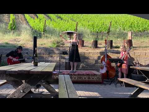 Promotional video thumbnail 3 for Buffalo Blues Trio