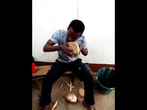 Coconut man in Freetown, Rokel check point, removed from tooth... fastest eater in rokel.