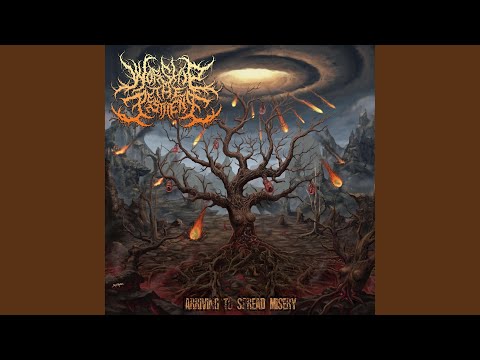 Death Fetus Collection