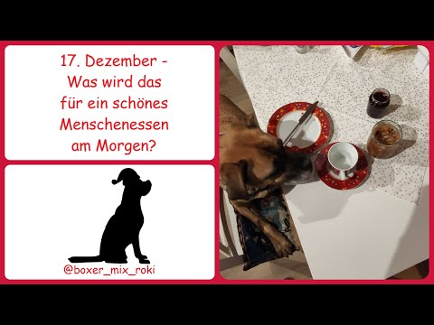 Rokis Adventskalender: 17. Dezember – Was wird das für ein schönes Menschenessen am Morgen?