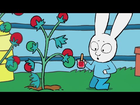 Simon *What Makes Tomatoes Turn Red?* The Story of the Little Elf *Earth Day* Cartoons for Children