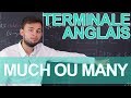 Much ou many ? - Anglais - Terminale - Les Bons Profs