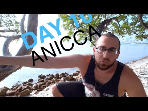 Day 10 - Anicca (Impermanence)