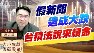 假新聞造成大跌 台積法說來續命 (圖)